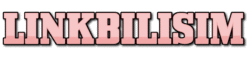 logo linkbilisim